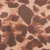 ONCA V5